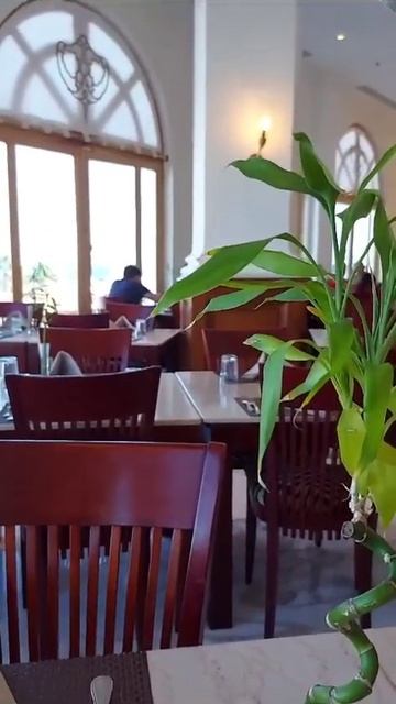 Египет вид из отеля. Почувствуйте лето. #душа #при смотреть онлайн