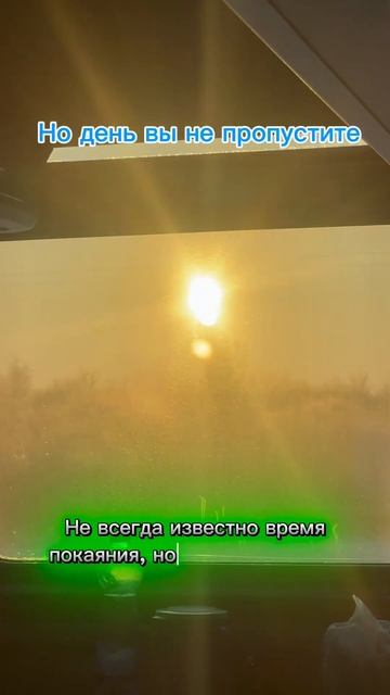 Восход солнца смотреть онлайн