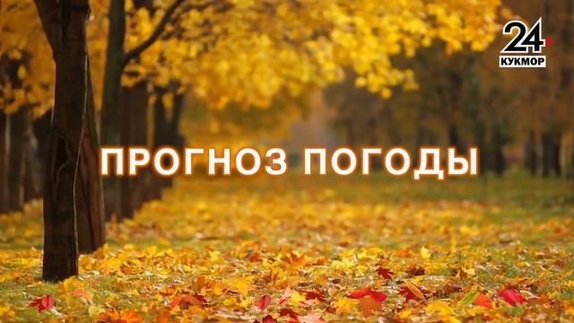 Новости Кукмора от 06.10.2023 смотреть онлайн