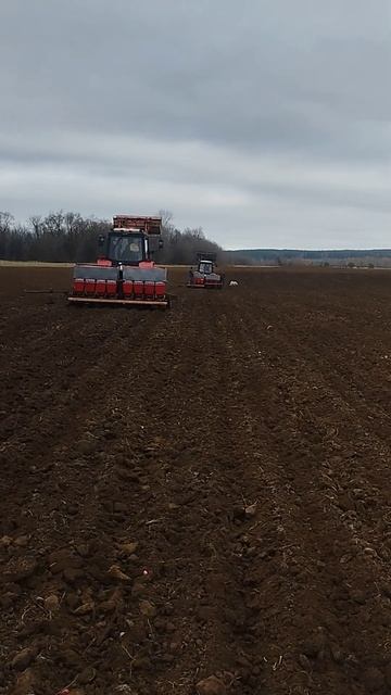 посадка 60га чеснока под зиму смотреть онлайн