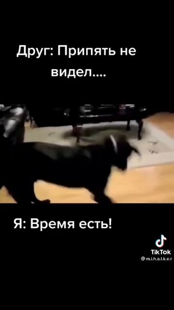 пригающий транспорт 2 часть смотреть онлайн