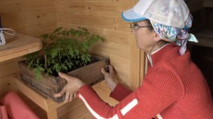 6 соток 5 мая 2025 года. 1 часть.