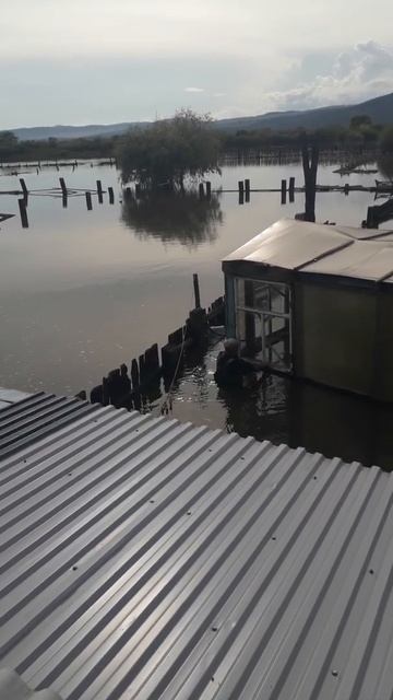 плавающая теплица смотреть онлайн