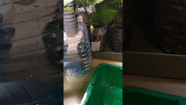 Невероятные баклажаны, 23 марта. смотреть онлайн