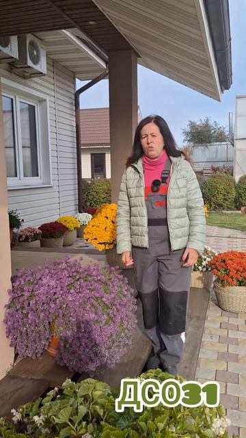 Сохранение растений...зимой #старыйоскол смотреть онлайн