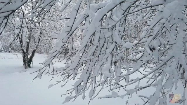 Наконец-то снег...Най-сетне сняг... :)