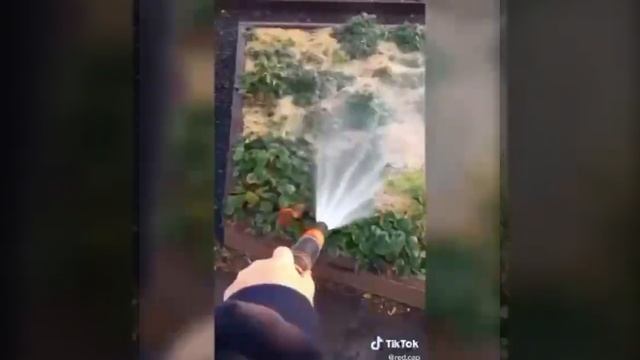 Плюсы и минусы высоких грядок смотреть онлайн