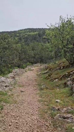 Крым Римская Дорога