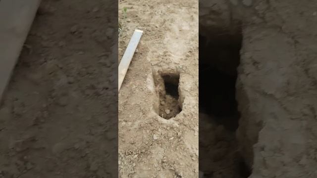 хотели посадить цветы но земля ушла из под ног 😭 смотреть онлайн