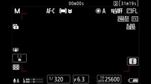 Настройки видео дикой природы для Nikon Z9 & Z8 – Шаг за шагом