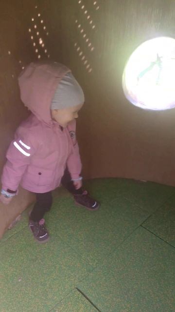 Дом в дереве, там белка живёт, дом стережет #vlog смотреть онлайн