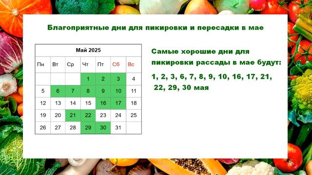 Благоприятные дни для пикировки рассады в апреле, мае смотреть онлайн
