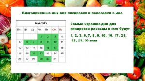 Благоприятные дни для пикировки рассады в апреле, мае