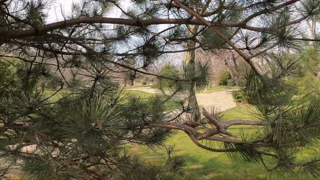 04 04 2021 Ореховая роща высадили 50 саженцев смотреть онлайн