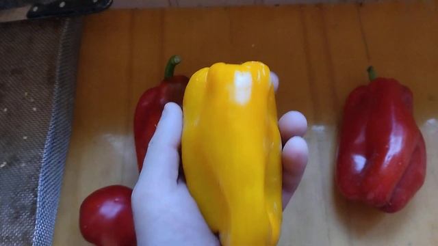 семена болгарского перца на следующей год смотреть онлайн