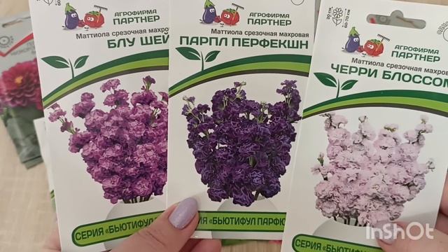 Однолетние цветы 2025 г🌺🌺🌺Покупки из Фикспрайса