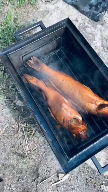 Горячее копчения судака смотреть онлайн