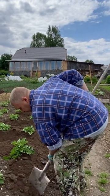 Окучка картошки по висимски!! #висим #урал #садовод #ого смотреть онлайн