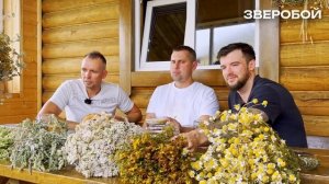 ТОП 5 трав для бани. Парение с ромашкой, зверобоем и дру