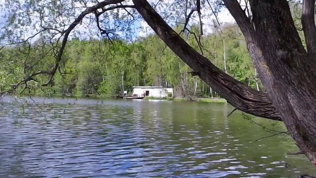 велопрогулка