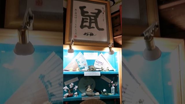 Мыши в городке Мышкин, октябрь 2022 #shorts #mice #Museummice смотреть онлайн