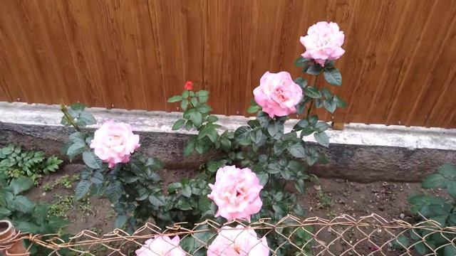 28 мая 2022 г.(2)