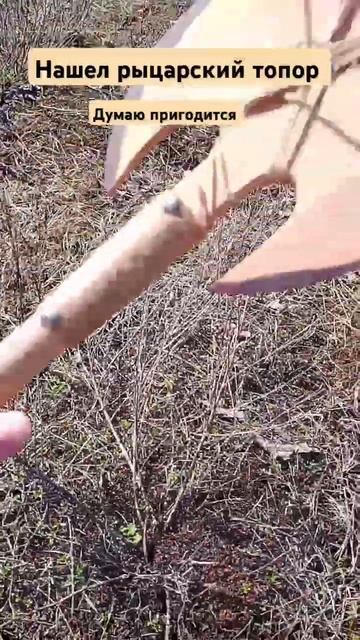 нашел рыцарский топор #гномы #боже #мем смотреть онлайн