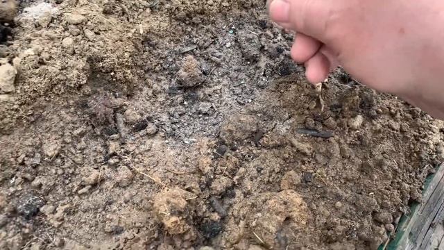 Дачные дела 12 июня 2024 #хантымансийск #дачныедела #мор? смотреть онлайн