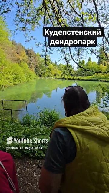Кудепстенский дендропарк #Сочи #кудепста #дендропарк смотреть онлайн