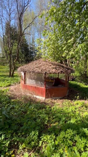 Прекрасная беседка преображаться #ремонт #ремонтдома смотреть онлайн