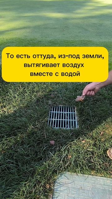 Как сделать идеальный газон для гольфа: боремся с амер смотреть онлайн
