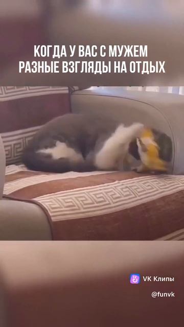 заводила 🤣 с шилом в опе🤣🤣🤣🤣