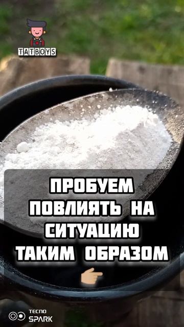 Жируют Томаты; Что делать? #дача #огород #своимируками смотреть онлайн