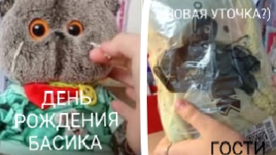 ДЕНЬ РОЖДЕНИЯ БАСИКА?)        НОВАЯ УТОЧКА?🦆