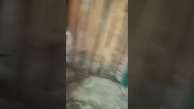 подвал часть 5 смотреть онлайн