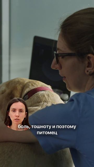 Заметили такое поведение? Не игнорируйте