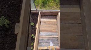 дорожка в теплице моими руками🙃