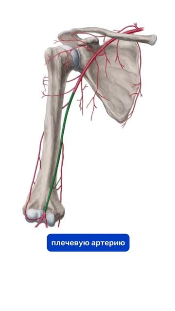 История выздоровления.