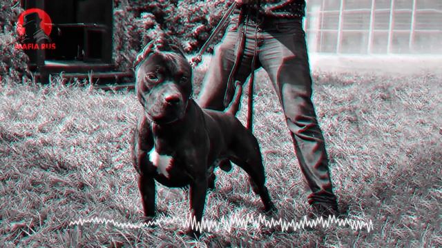 Музыка для пацанов ☠️ Музыкальный сборник для пацанов ☠️ русский рэп 2022