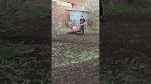 Культивация огорода мотоблоком Brait Br-135 Ged Pro .🚜🚜🚜🚜?