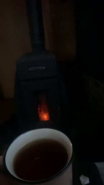 Открыли дачный сезон #огоньбатарея#дача#деревня смотреть онлайн