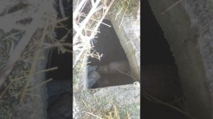 Запах в бане, как решить??? решение простое,...