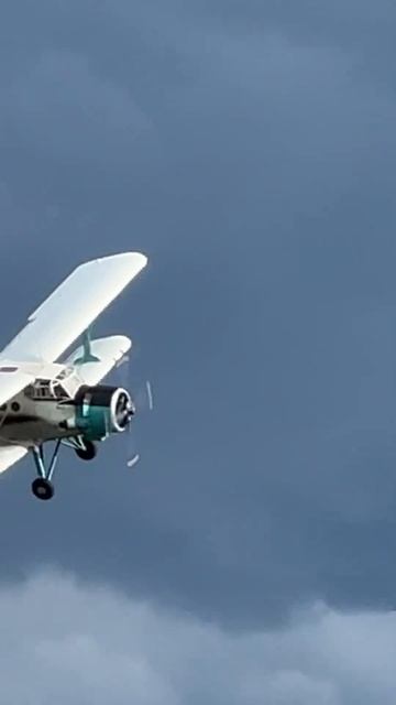 Заход на посадку Ан-2 #авиация #самолет #shorts смотреть онлайн