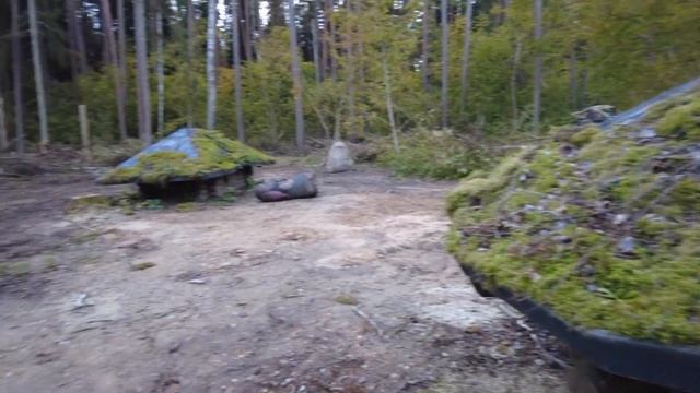 Золотая осень в парке Тервете - одно из любимых мест в ?