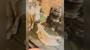 Разборка ремонт гудит кпп заз форза ,чери амулет￼ chery a