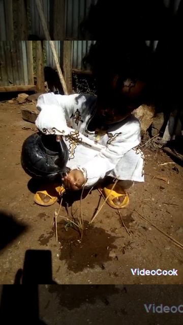 Маленький саженец сегодня нуждается в уходе. смотреть онлайн