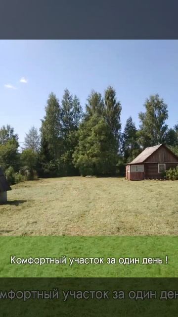 Покос травы полтора метра методом мульчирования, рез? смотреть онлайн