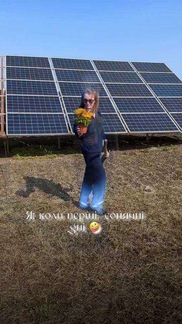 #теплица #помідори #розсада #теплицаурожай #выращивать смотреть онлайн