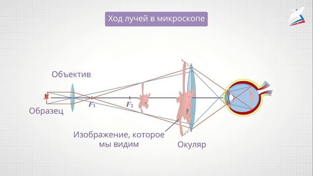 2025-05-07 14-56-36 смотреть онлайн