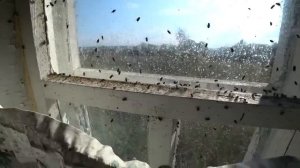 РЕДЧАЙШАЯ НАХОДКА В БРОШЕННОМ ДОМЕ. В ШОКЕ ОТ УВИДЕННОГО!Покинутая деревня юга Нижегородской области